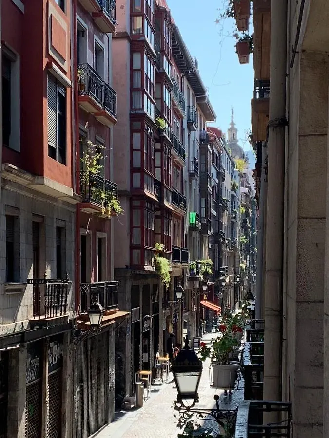 Apartment La Puerta Verde - Casco Viejo-Old Town Bilbao